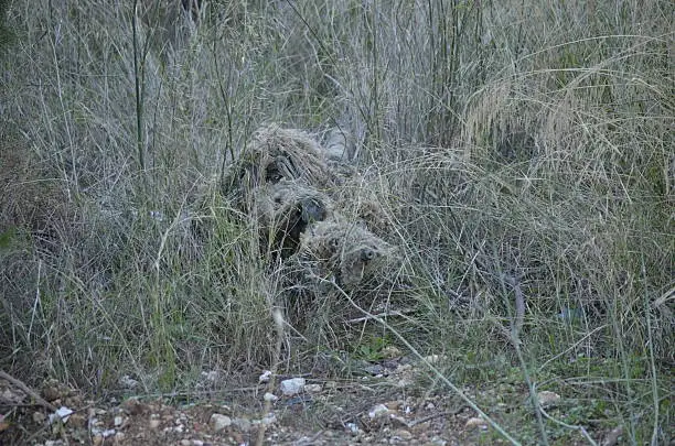 Ghillie Suit 101 : Guide du débutant